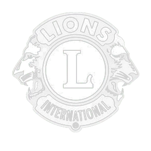 lion 1